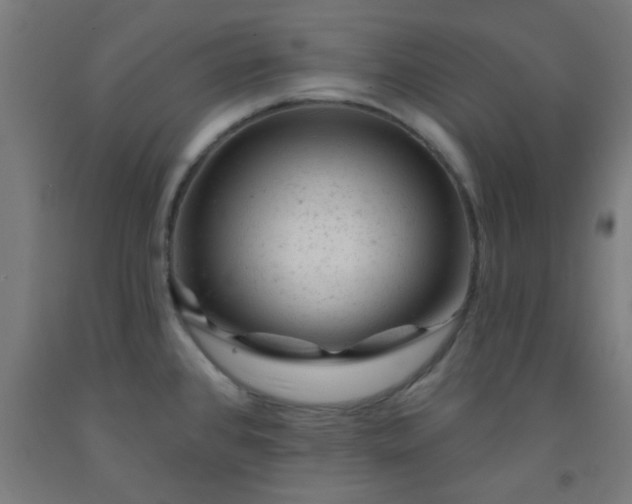 X0000092301384200709281317