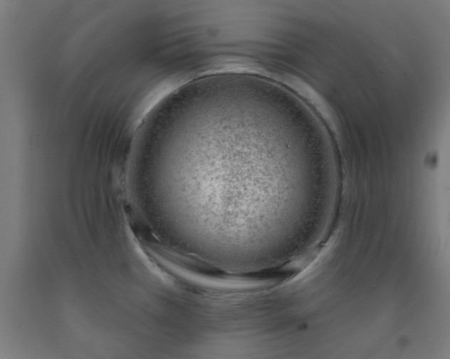 X0000092301385200709281317