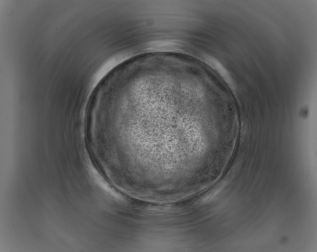 X0000092301386200709281317