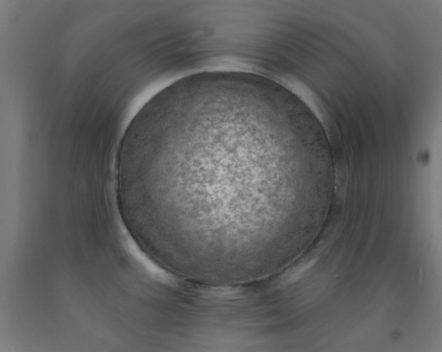 X0000092301387200709281317