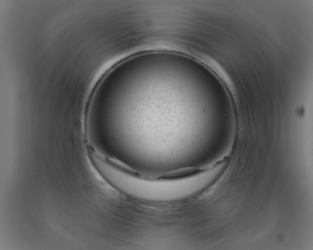 X0000092301388200709281317