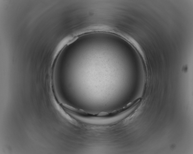 X0000092301389200709281317