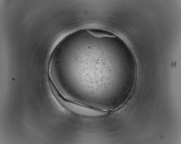 X0000092301392200709281317