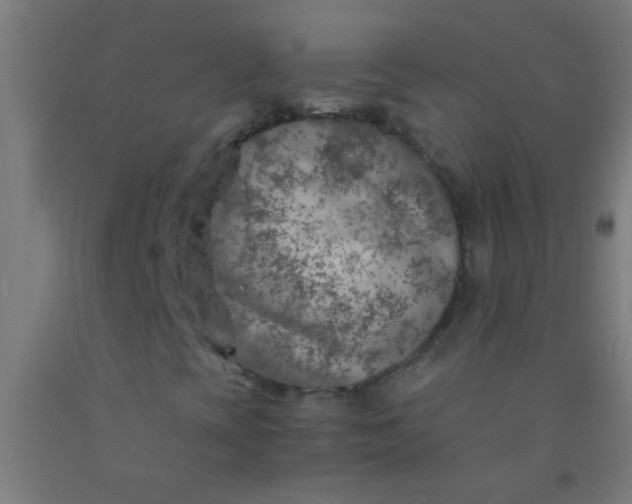 X0000092301393200709281317