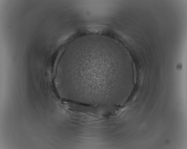 X0000092301394200709281317