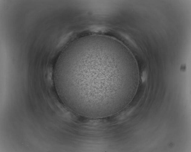 X0000092301396200709281317