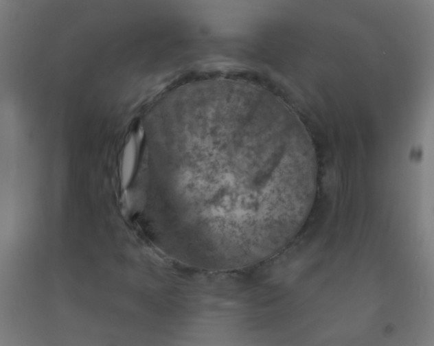 X0000092301397200709281317