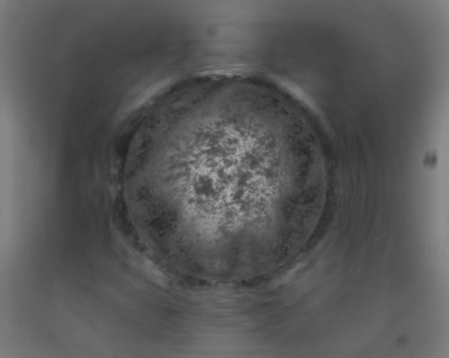 X0000092301399200709281317