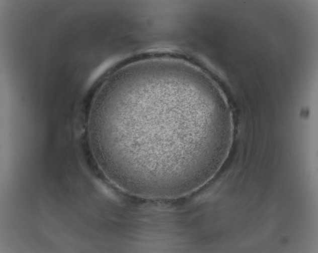 X0000092301400200709281317