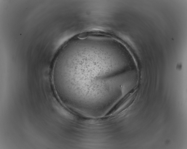 X0000092301404200709281317