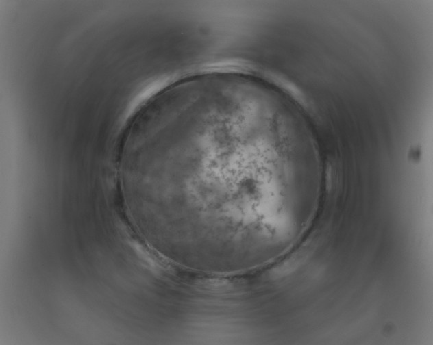 X0000092301405200709281317