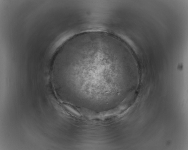 X0000092301407200709281317