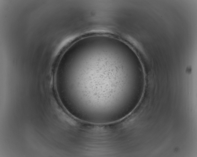 X0000092301408200709281317