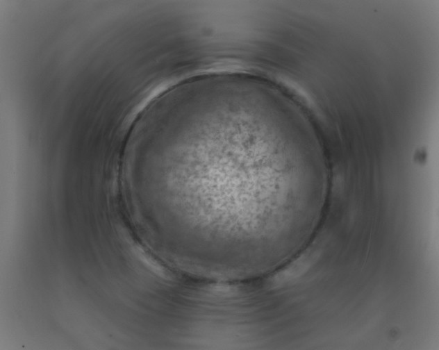 X0000092301409200709281317