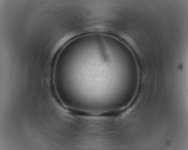 X0000092301410200709281317