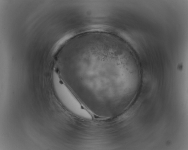 X0000092301411200709281317