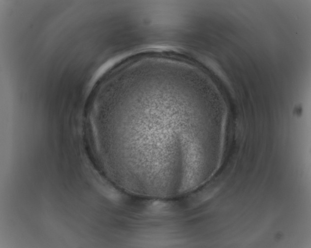 X0000092301412200709281317