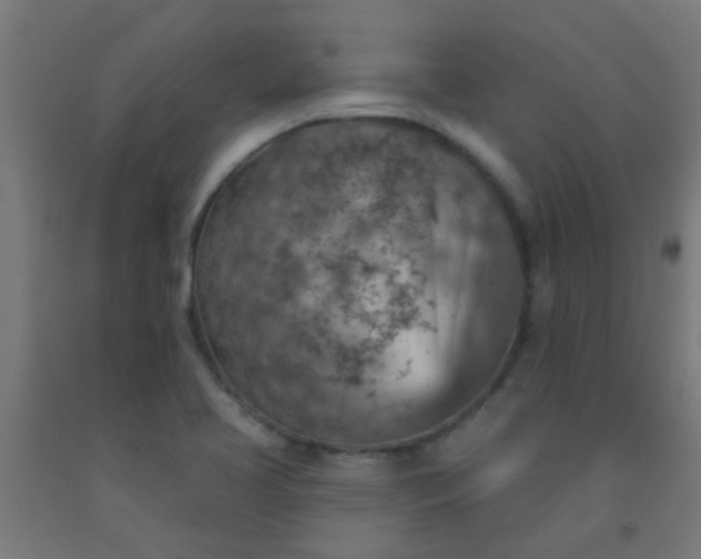 X0000092301413200709281317