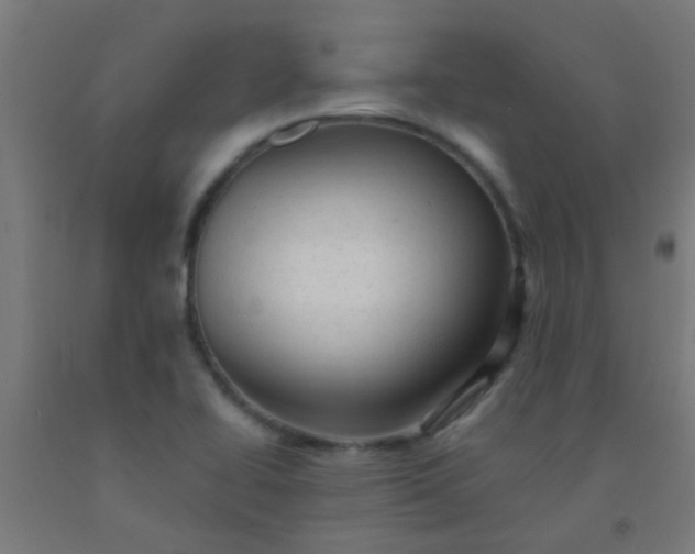 X0000092301414200709281317