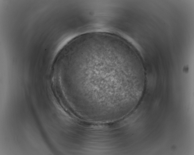 X0000092301415200709281317