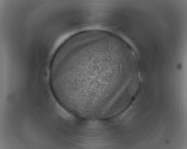 X0000092301416200709281317