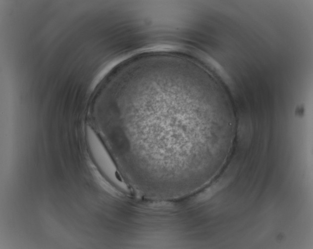 X0000092301417200709281317