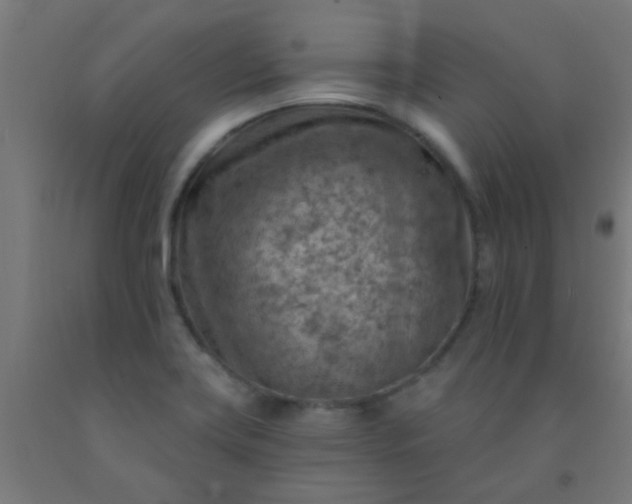 X0000092301419200709281317