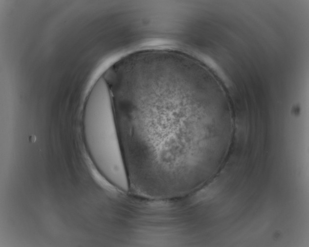 X0000092301421200709281317