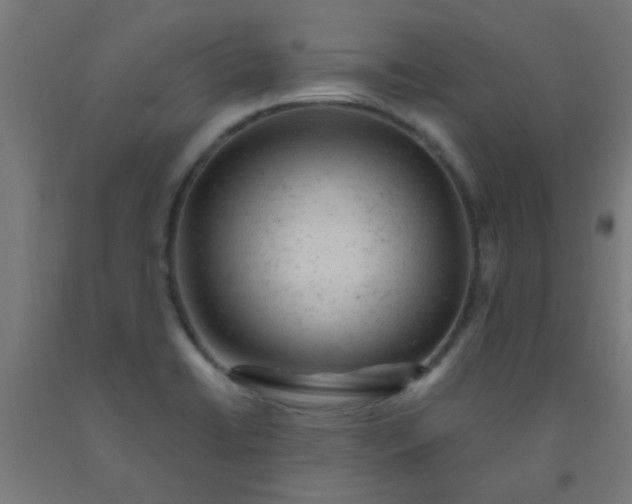 X0000092301422200709281317