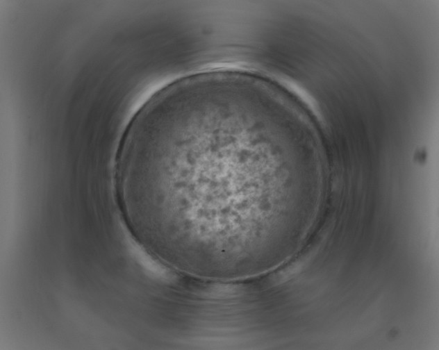 X0000092301423200709281317