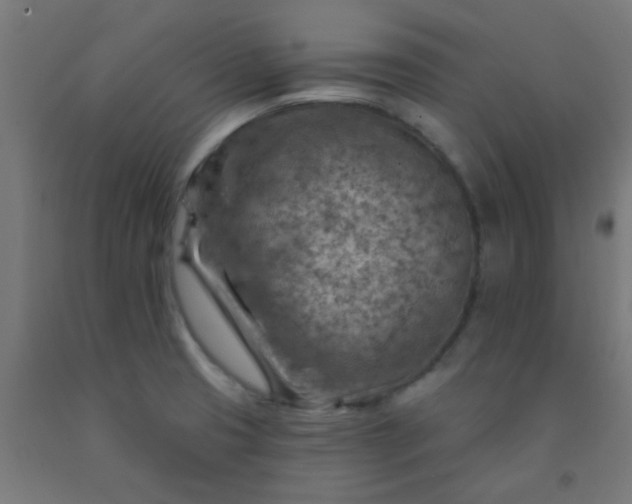 X0000092301425200709281317