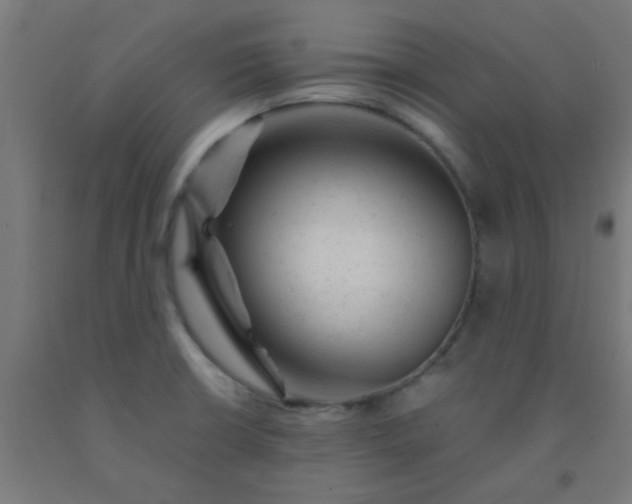 X0000092301426200709281317