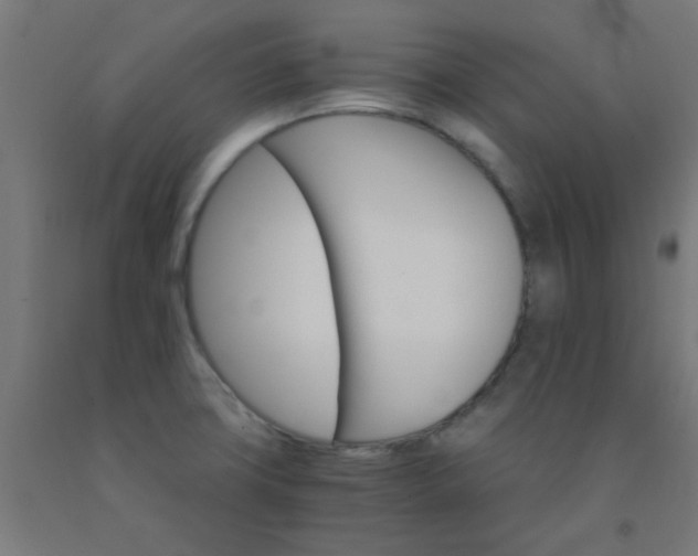 X0000092301427200709281317