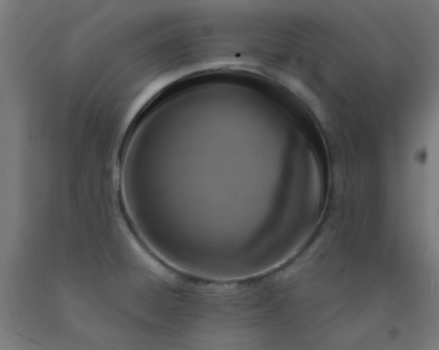 X0000092301428200709281317