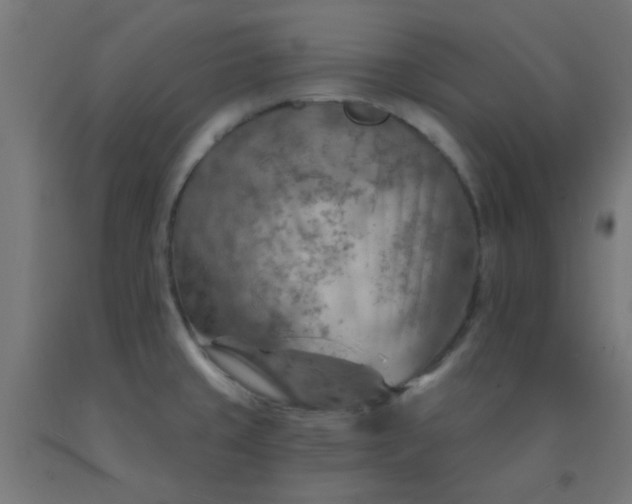 X0000092301429200709281317