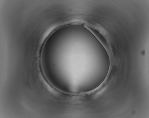 X0000092301430200709281317