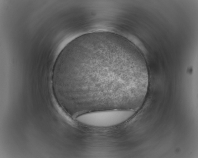 X0000092301431200709281317