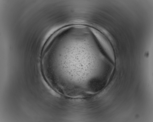 X0000092301432200709281317