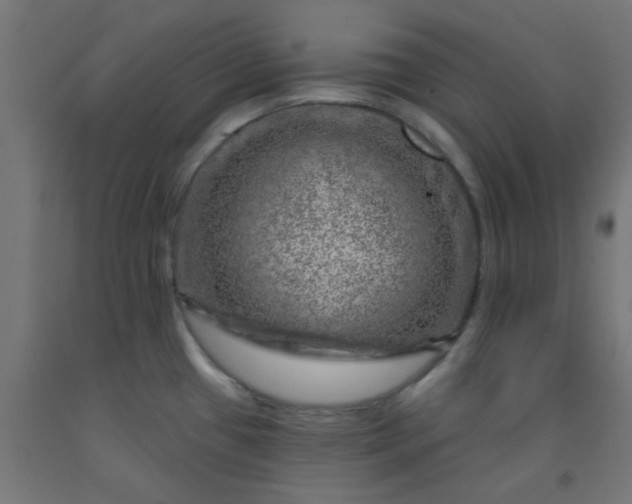 X0000092301433200709281317