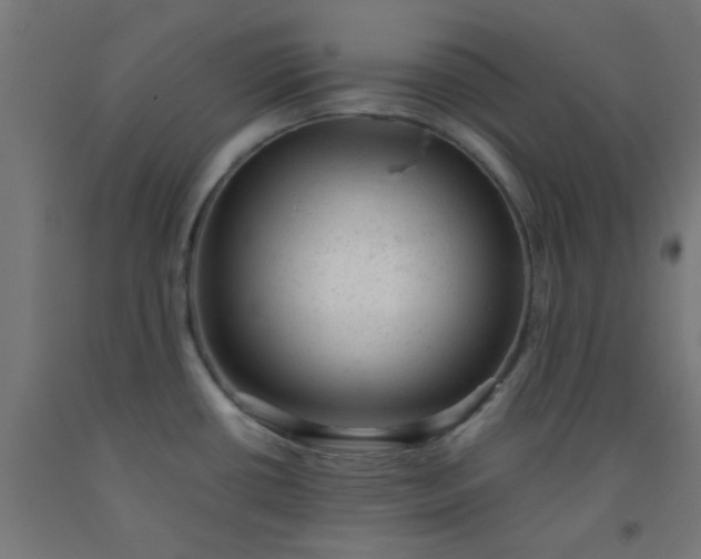 X0000092301434200709281317