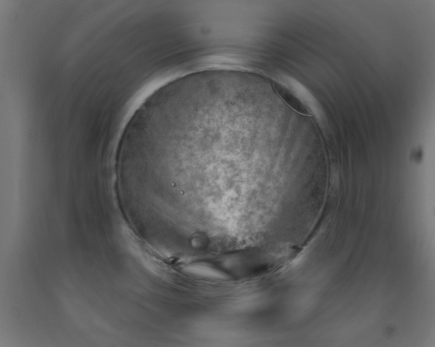 X0000092301435200709281317