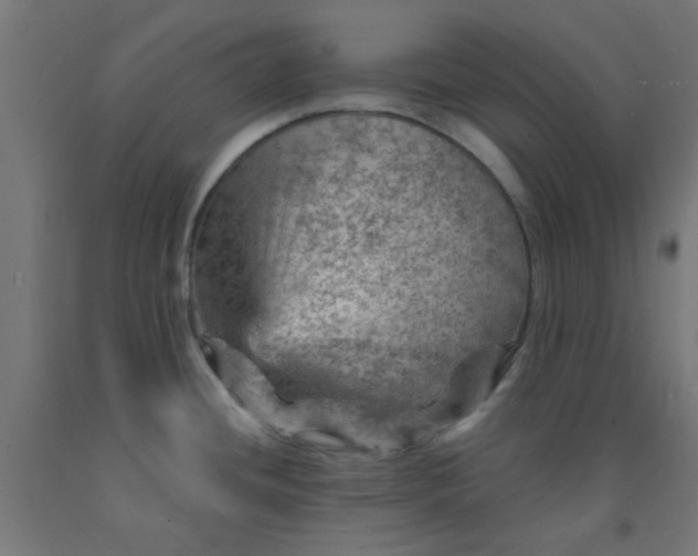 X0000092301436200709281317