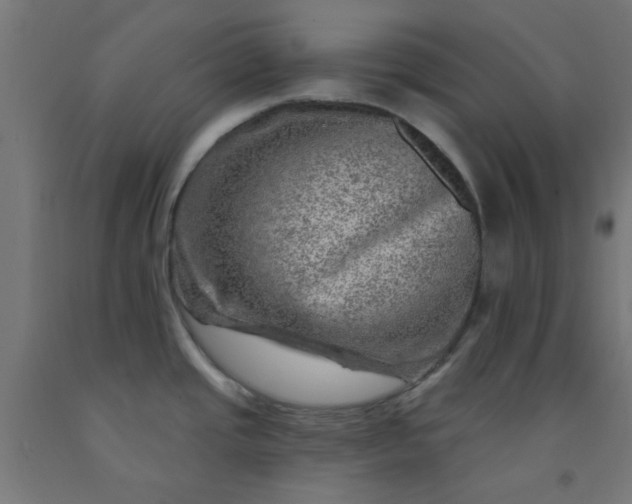 X0000092301437200709281317