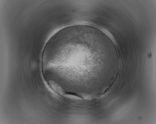 X0000092301439200709281317