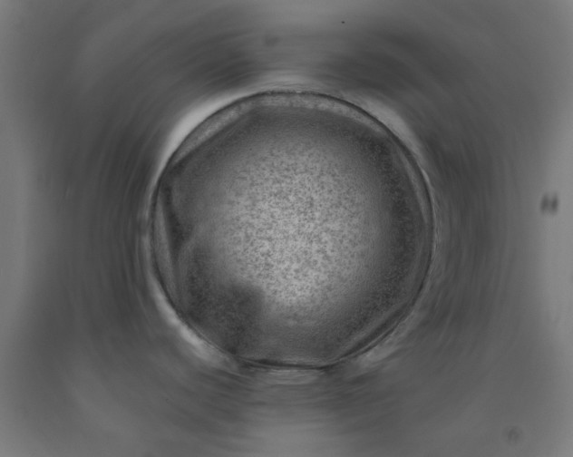 X0000092301440200709281317