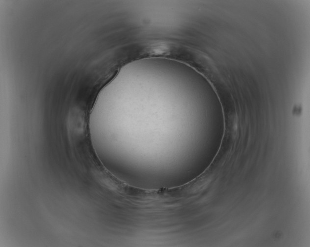 X0000092301442200709281317