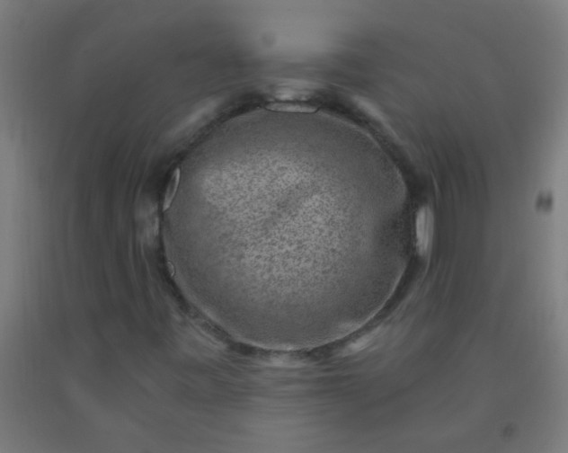 X0000092301443200709281317