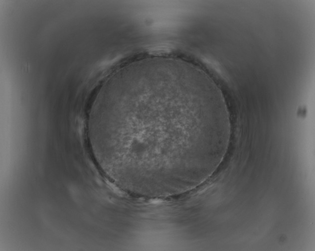 X0000092301445200709281317