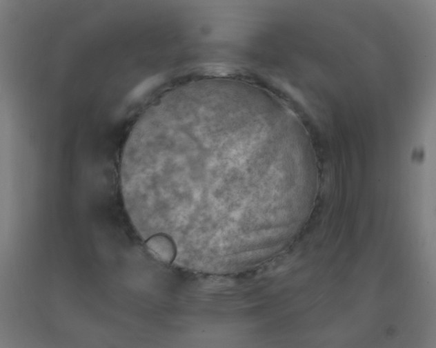 X0000092301446200709281317