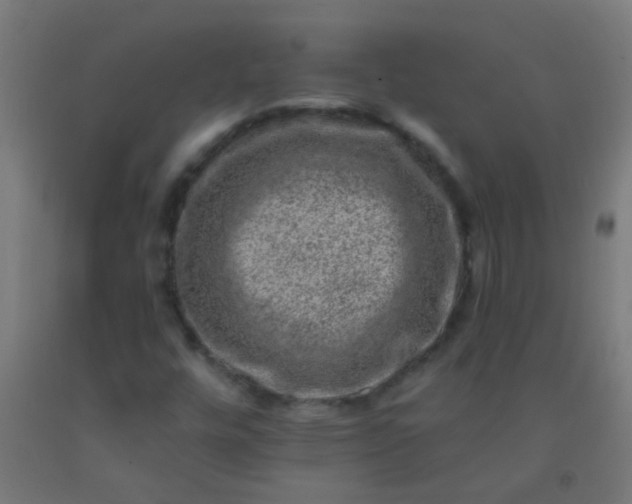 X0000092301448200709281317